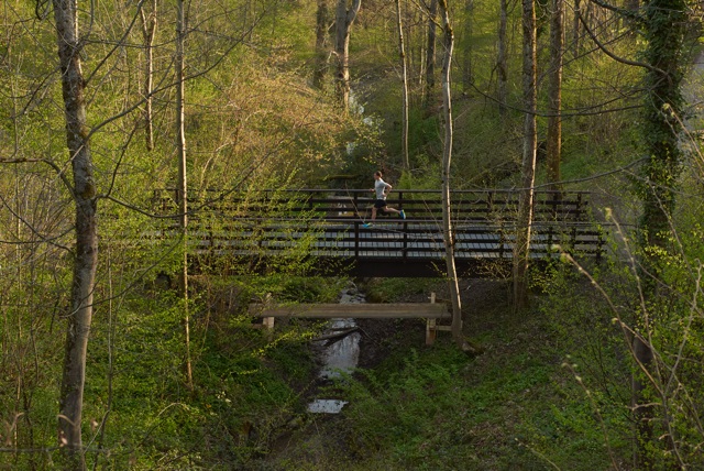 Einsamer Mann läuft durch den Wald über eine Brücke