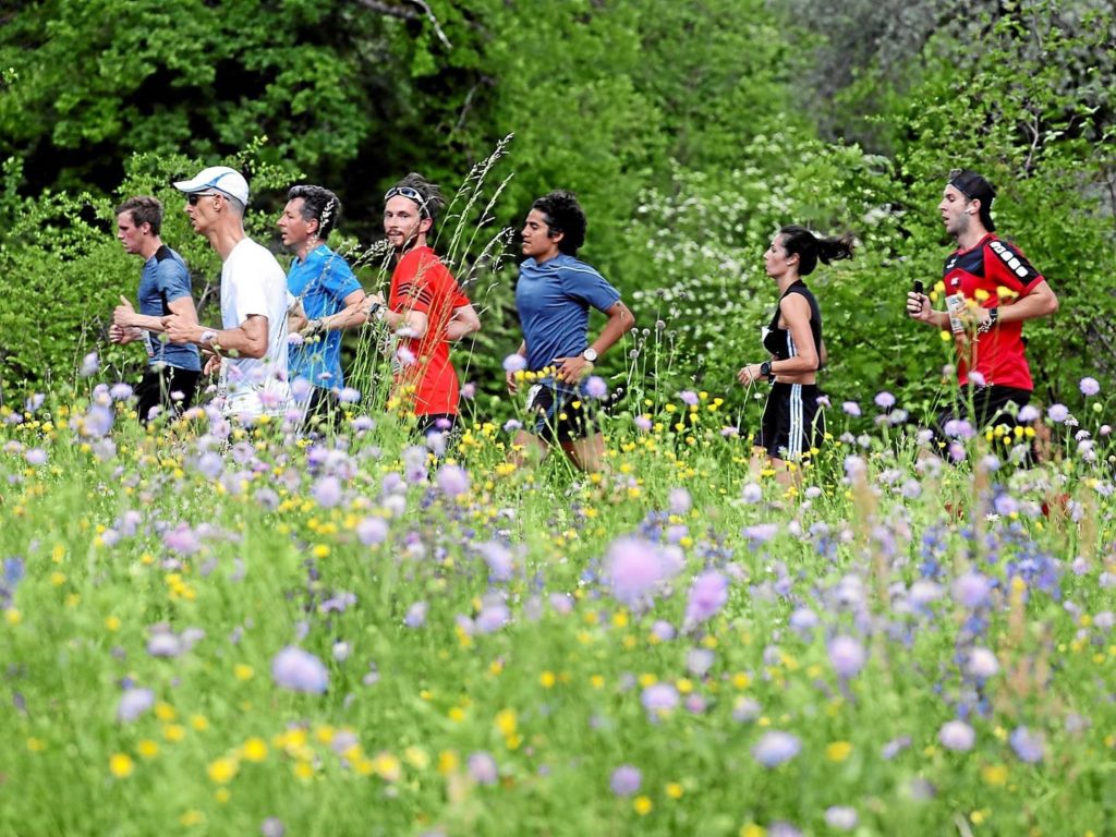 Läuferinnen und Läufer laufen am GP Bern einer blühenden Wiese entlang (Photo: swiss-image.ch)