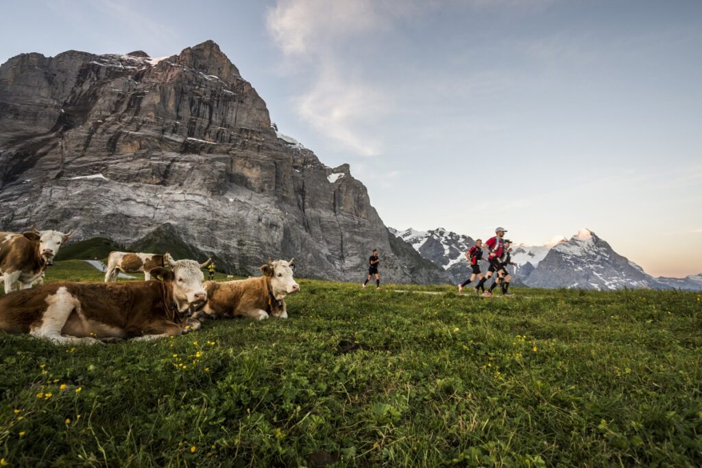 Eiger Ultra Trail (Photo: www.alphafoto.com)